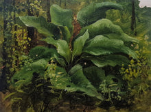 Italian School Botanical Study (Francesco Lojacono, 19th Century)