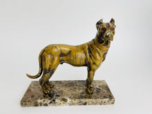 Viennese cold-painted bronze statue of a dog - Bronze, Marble