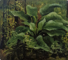 Italian School Botanical Study (Francesco Lojacono, 19th Century)