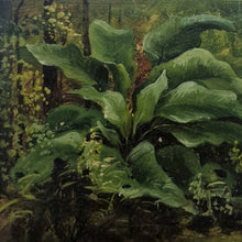 Italian School Botanical Study (Francesco Lojacono, 19th Century)