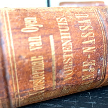 Het Vorstenhuis Oranje-Nassau – 1882 | Illustrated Royal History with Chromolithographs
