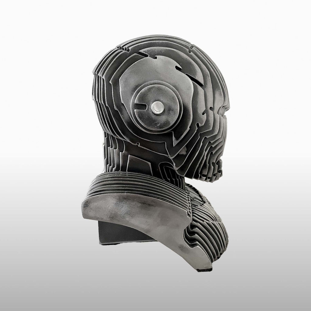 Filippo Pietro Castrovinci — IronMan (2021)