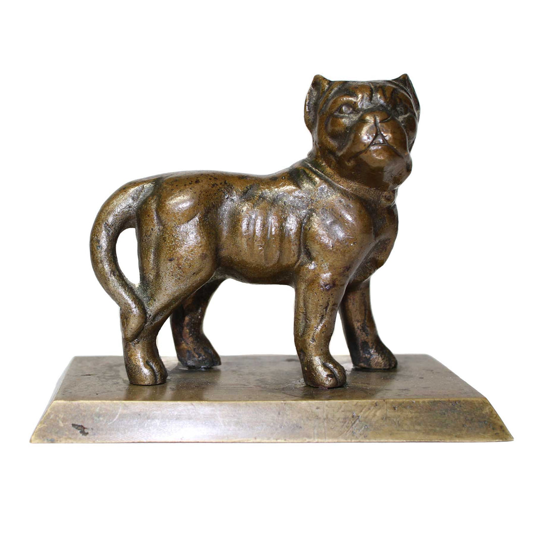 Bronze French Bulldog
